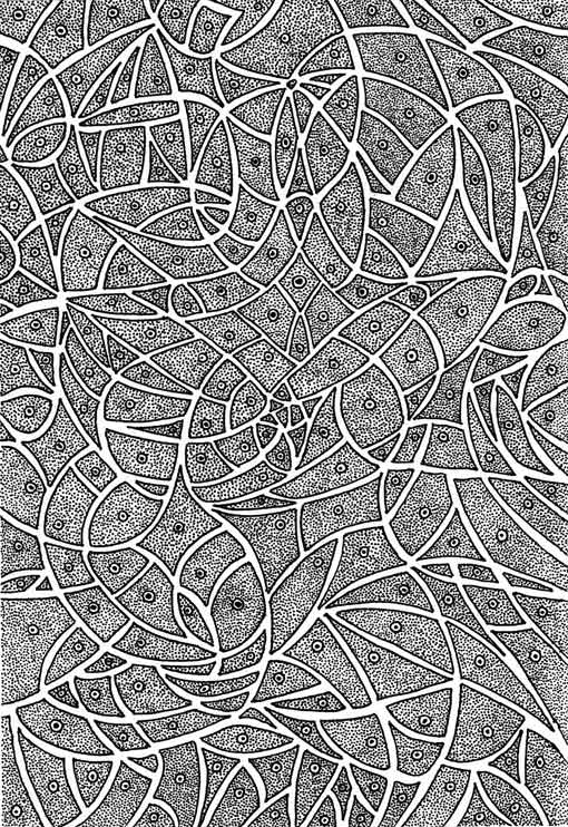 Doodle 6 • 7x10" Framed 10x13" •  Original Black Pen Drawing