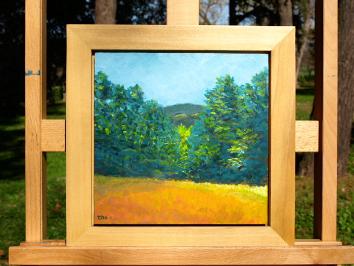 Meadow Pass - 12x12" Acrylic Painting Framed