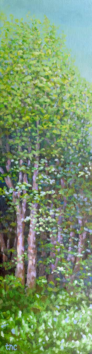 Trees if you Please - 6 1/2"x24" Acrylic Gallery Wrapped Canvas